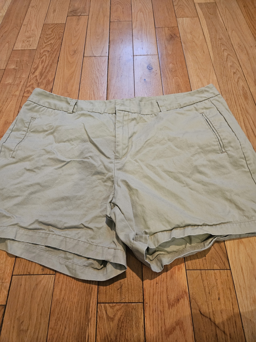 STYLUS Light Sage Casual Cotton Bermuda Shorts
